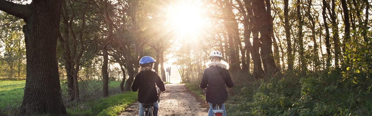 Leefstijlinitiatieven in de eerste lijn in kaart