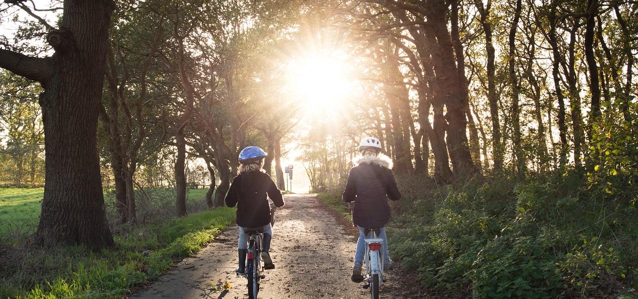 Leefstijlinitiatieven in de eerste lijn in kaart